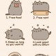 Reasons You Should Consider Being A Cat