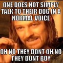 Talking to the dog