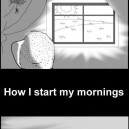The Mornings
