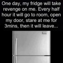 The revenge of the fridge