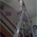 Cats In Places They Shouldnt Be