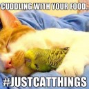 Cuddling with your food