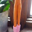Funny Carrot