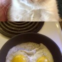 Grumpy Eggs