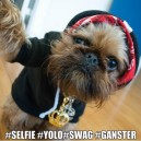 Selfie Yolo Swag Gangster