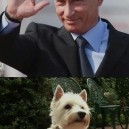 Putin Highfive