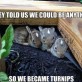 Turnip Bunnies