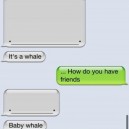 iPhone Whales