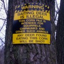 Baiting deer is illegal