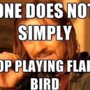Flappy Birds MEME