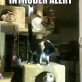 Intruder alert!
