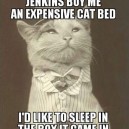 Buy me a cat bed