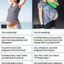 Lies of Pregnancy