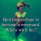 Quitting College