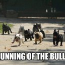Running of The Bulls