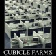 Cubicle Farms