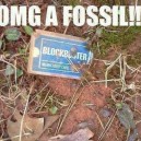 A Fossil