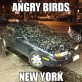 Angry Birds New York
