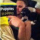 Puppies For Dummies