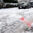 Snowman crossed the road