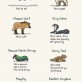 Misleading animal names