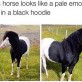 Emo Horsey