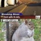 Lucky squirrels!