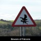 Beware of Falcons