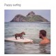 Puppy surfing