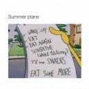 Summer plans
