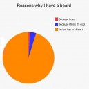 Different reasons for having a Beard