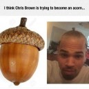 Chris Brown’s Look