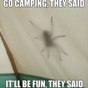 Camping with spiders