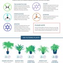 NASA Guide to  Air filtering Houseplants