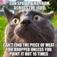 The Incoherent Logic Of Cats