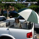 This Is How You Take Care Of Your Pet