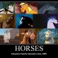 Truth About Horses