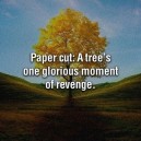 Truth About Paper Cuts