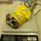 Correct Way To Weight An Owl