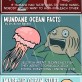 Crazy Ocean Facts You Probably Don’t Know