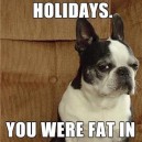 Don’t blame the holidays