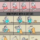 How Cat Owners Usually Eat