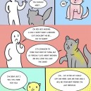 Something To Consider About Pet Shelters