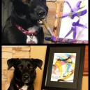The Clever Dog That Can Paint