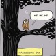 The Narcissistic Owl