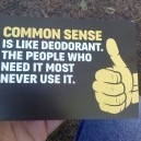 The Plain Truth About Common Sense