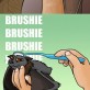 Brushing A Bat’s Head