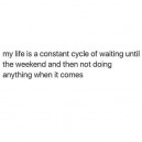 My cycle of life