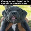 Farting at its best