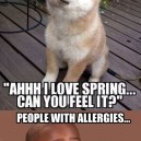 People with allergies